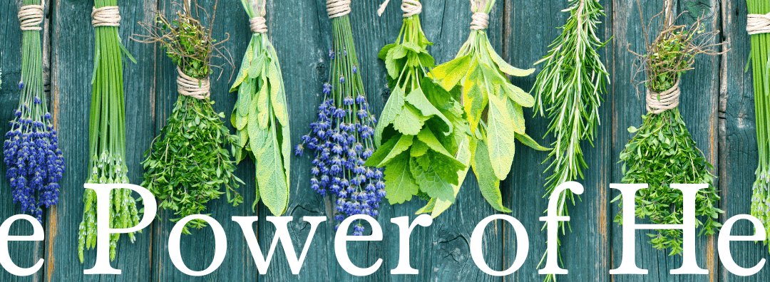 The Power of Herbs – What to Eat and Why