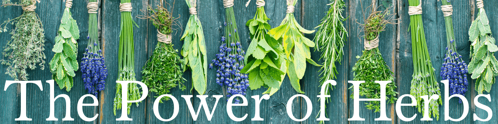 The Power of Herbs
